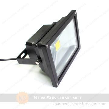 10W led Flood light Replace HPS 30W CE&ROHS Cetificate